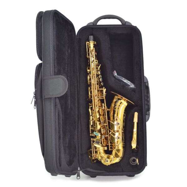 Chiltern | A900B BR Gold Alto Saxophone