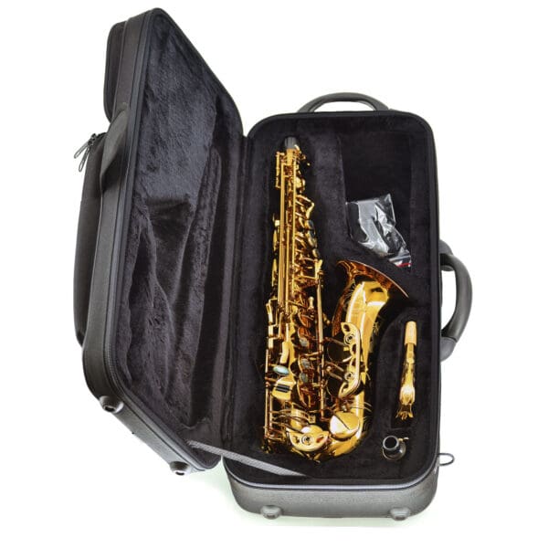 Chiltern | A-M6 DVL Dark Gold Alto Saxophone