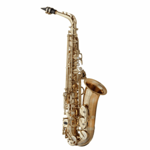 Yanagisawa | AWO2U Alto Saxophone - Unlacquered Bronze