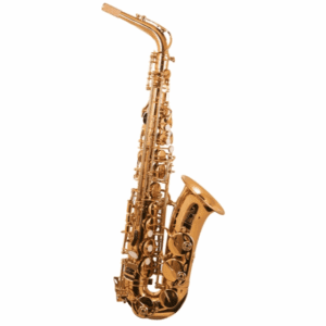 Trevor James | 3730G The Horn Alto Saxophone | Gold Lacquer