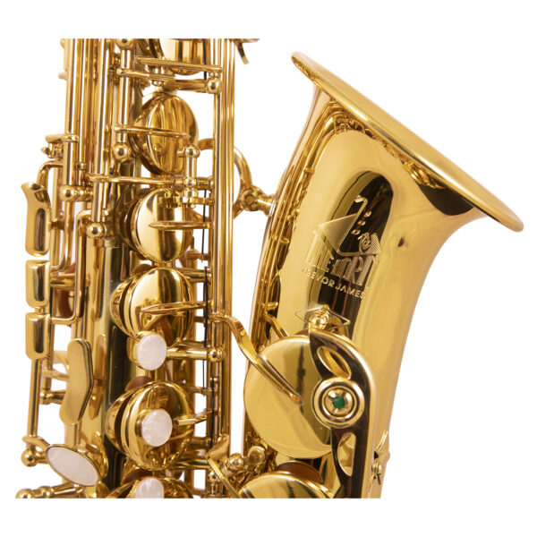 Trevor James | 3730G The Horn Alto Saxophone | Gold Lacquer