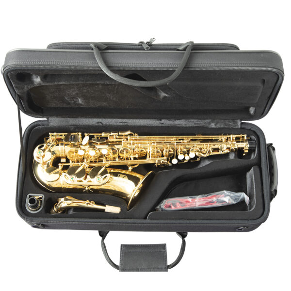 Trevor James | 3730G The Horn Alto Saxophone | Gold Lacquer