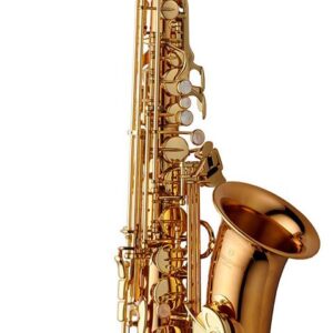 Yanagisawa | AWO2U Alto Saxophone - Unlacquered Bronze