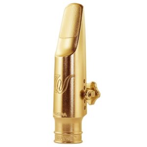 Theo Wanne | Mantra Gold Tenor Saxophone Mouthpiece