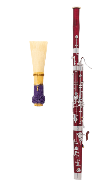 Bassoon Family Reeds image