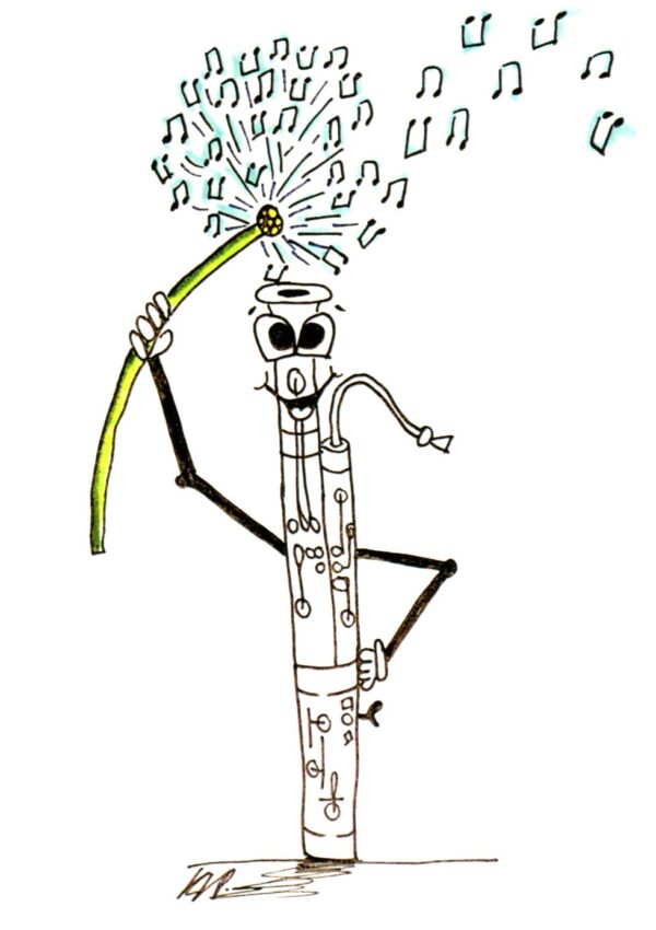 Bassoon Greetings card Various Designs