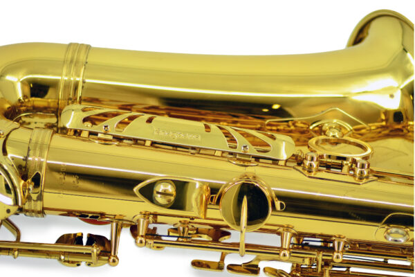 Yanagisawa | A901 Alto Saxophone
