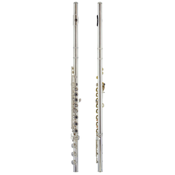 Haynes | Professional Flute