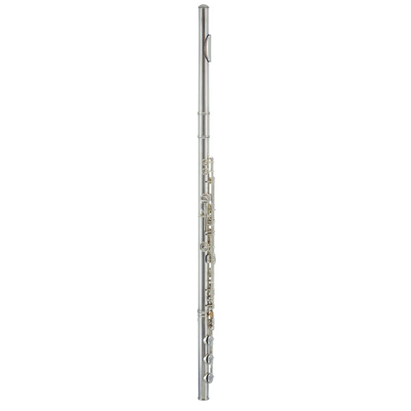 Haynes | Professional Flute